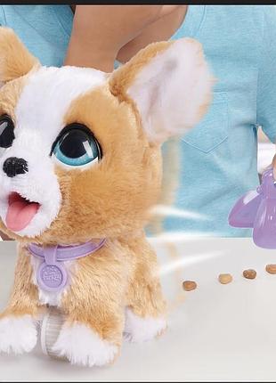 Інтерактивна іграшка "коргі" furreal 8