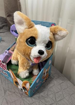 Інтерактивна іграшка "коргі" furreal 4