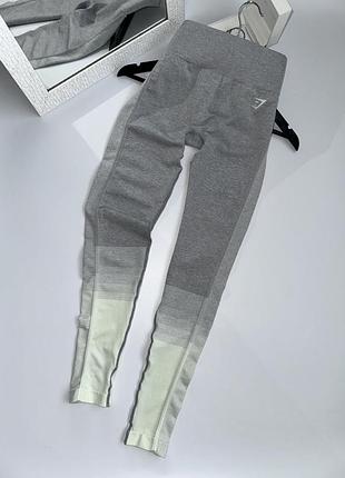 Лосини легінси gymshark
