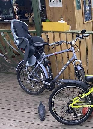 Дитяче велокрісло polisport wallaby evolution "deluxe"