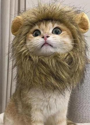 Кошачья шляпа со львом, парик с гривой для маленьких собак, кошек ост