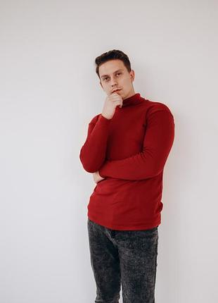 Водолазка мужская бордовая тёплая , гольф мужской s m l xl xxl бордовый демисезонный термоеффект xxl