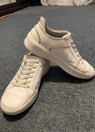 Кросівки skechers original