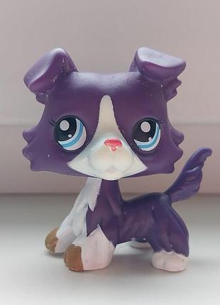 Лпс собака колли пет шоп петшоп lps littlest pet shop фигурка игрушки детские собаки liitlest pet petshop pet shops petshops lsp
