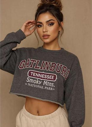 Жіночий кроп вкорочений світшот з написом топ catlinburg tennessee valani apparel стильний сірий на флісі теплий