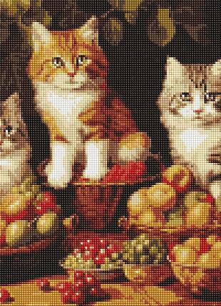 Алмазная мозаика вышивка на подрамнике 5d котята и фрукты натюрморт коты кошки животные 40х50 см amo7940