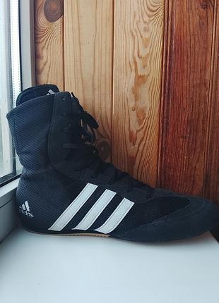 Боксерки adidas box hog 2