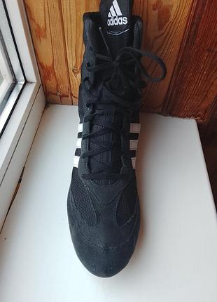 Боксерки adidas box hog 2 3