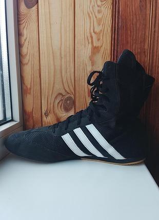 Боксерки adidas box hog 2 2