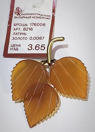 Брошь янтарная,винтаж,калининград