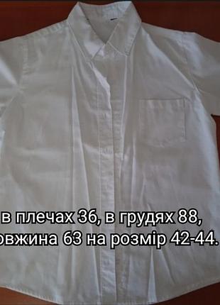 Тенниски рубашки 5