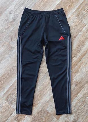 Мужские спортивные штаны adidas aeroready