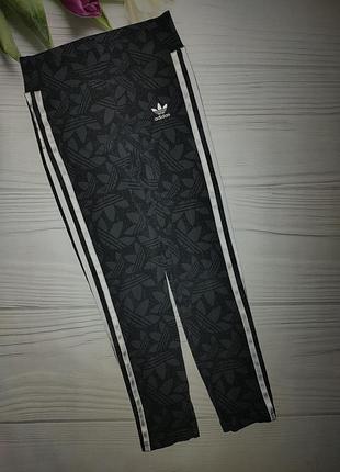 Лосины лосины adidas оригинал