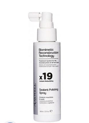 Raywell molecular sealant polishing spray x19 запечатувальний лосьйон з полімерами, термічно активується