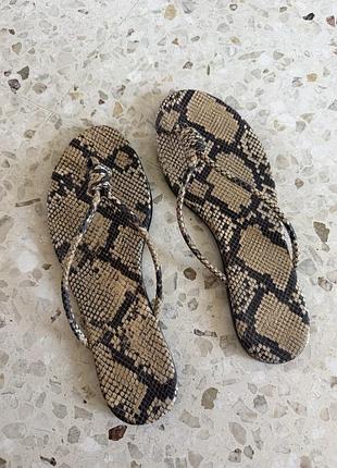 Вʼєтнамки зміїний принт h&m