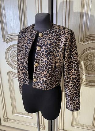 Піджак , жакет zara xs-s