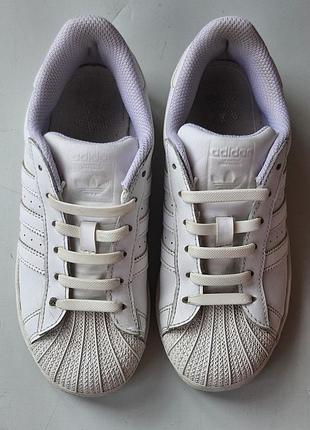 Кроссовки adidas superstar