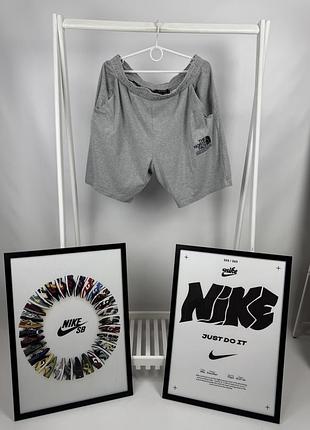 Оригінальні шорти the north face