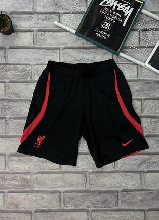 Спортивні шорти nike liverpool fc 2022-23 strike