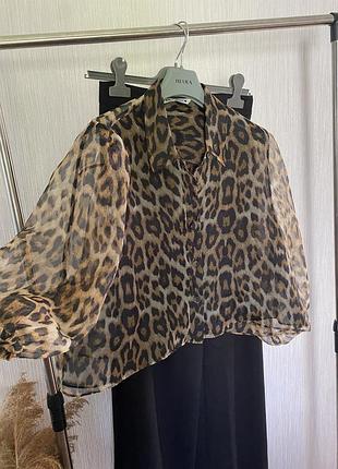 Леопардова блуза zara