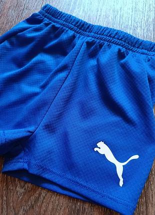 Шорты puma 2