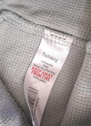 Шорти nutmeg 2