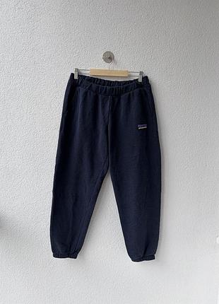 Спортивки patagonia
