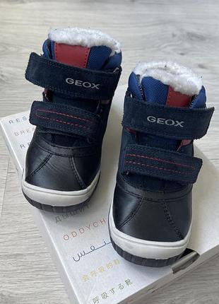 Зимові чобітки geox