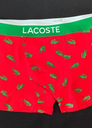 Модні чоловічі червоні труси боксери lacoste — труси для хлопця