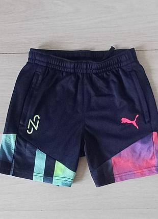 Спортивные шорты  puma