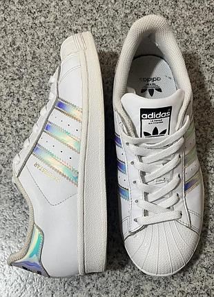 Кросівки adidas all star