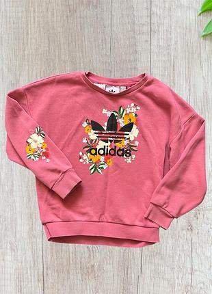 Світшот adidas
