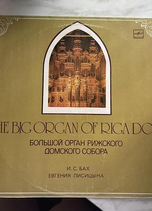 Вінілова платівка "the big organ of riga dom" (й. с. бах, євгенія лісіцина)