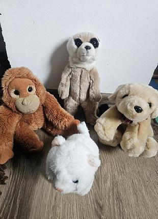 М'які іграшки  собаки,котик та сурикат keel toys