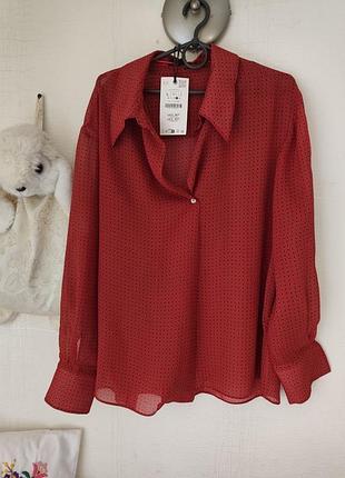 Нова з бірками блуза zara zw collection з принтом та завязками.