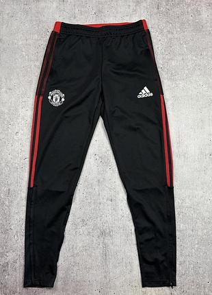 Спортивні штани adidas