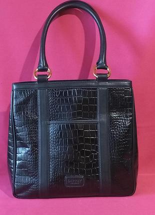 Osprey london