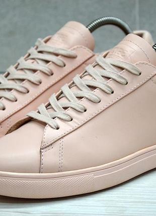 Clae, оригинал кожаные премиум кеды