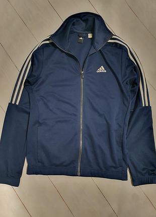 Мужская олимпийка adidas 4