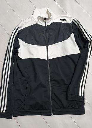 Мужская олимпийка,мастерка adidas 5