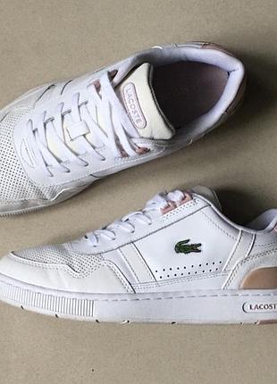 Кросівки lacoste (thailand) оригінал