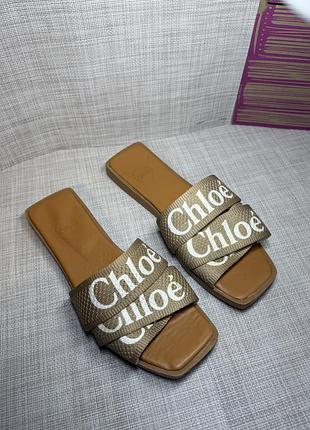 Шльопанці  класичні chloe