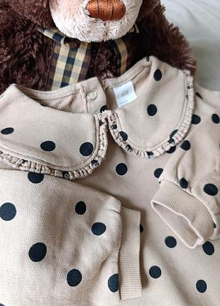 Бежевый свитшот h&amp;m, кофта в горох, для девочки 6-9 месяцев, размер 68-74