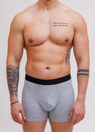 Мужские трусы боксеры серый, 3xl