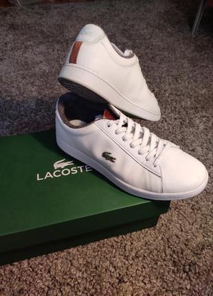 Кросівки lacoste чоловічі