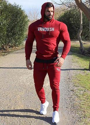 Спортивный костюм vqh (худи + штаны) красного цвета