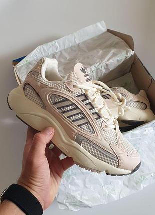 Бежеві кросівки унісекс adidas ozmillen beige gold х адідас 39