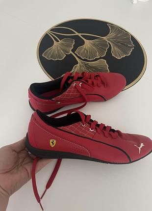 Кросівки puma!