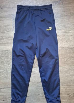 Спортивные штаны puma
