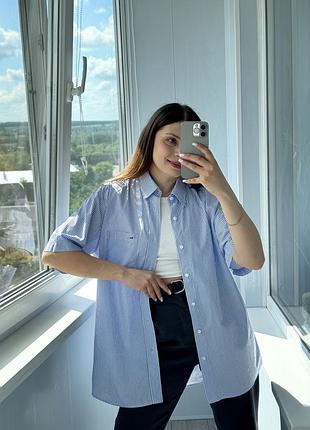 Блакитна сорочка в смужку з чоловічого плеча lacoste 1+1=3